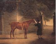 John Ferneley Mr Wombell's Hunter with a Groom in a Courtyard Germany oil painting artist